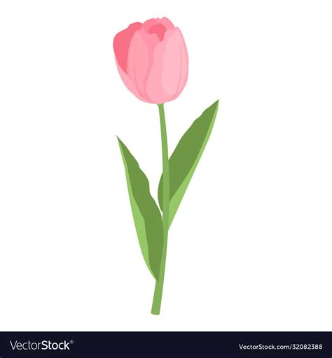 Tulip Flower Icon Cartoon Style Royalty Free Vector Image