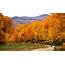 The “Best Fall Foliage” Award Goes To…  Unofficial Networks