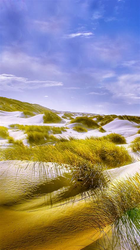 Download Grass Sand Beach Nature Landscape 1080x1920 Wallpaper