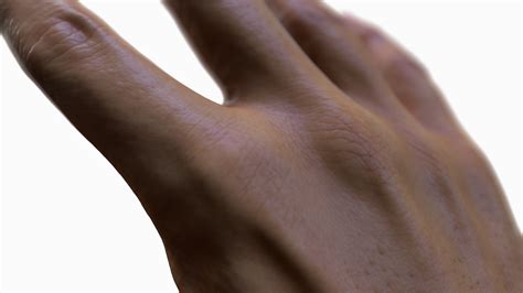 2 X Male And Female 3d Hand Models Asian 20 Years Old