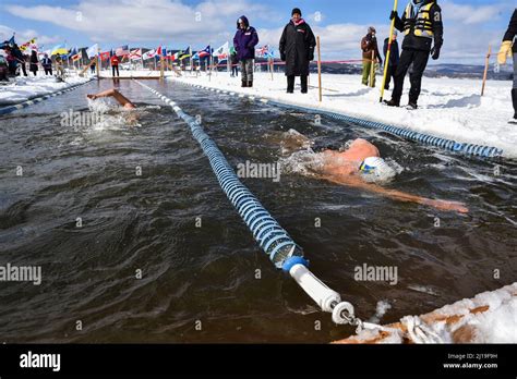 Cold Water Swimmers Swim In The Icy Water Of Lake Memphremagog Near The Canadian Board In