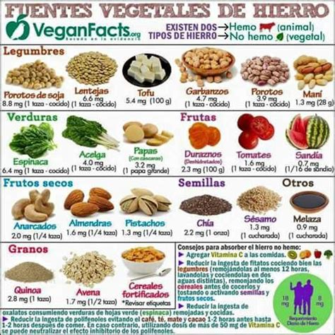 Fuentes de hierro. | Dieta vegana, Alimentos con hierro ...