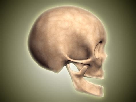 Conceptual Image Of Human Skull Side View Poster Print