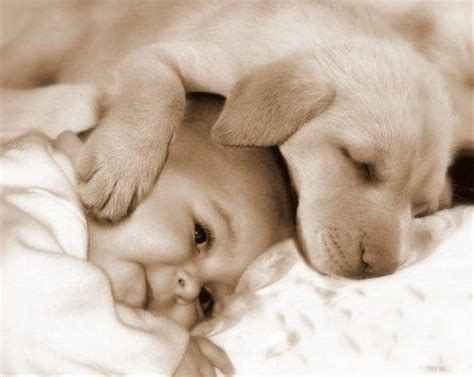 33 Cute Pictures Of Puppies And Babies Being Super Cute Snappy Pixels
