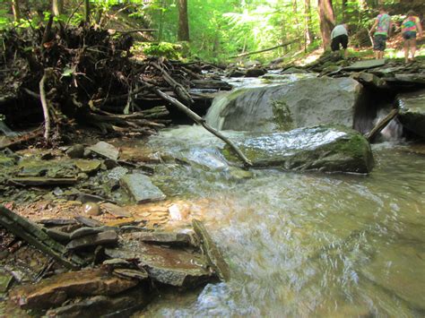Stream Geology Creek Connections Allegheny College