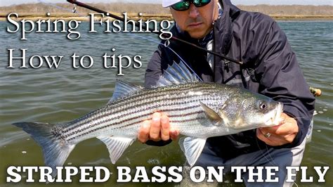 Fly Fishing Long Island For Striped Bass Spring Season Tips Youtube