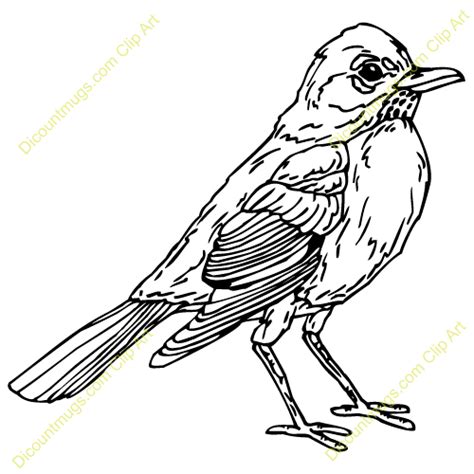 Robin Clipart - Clipartion.com