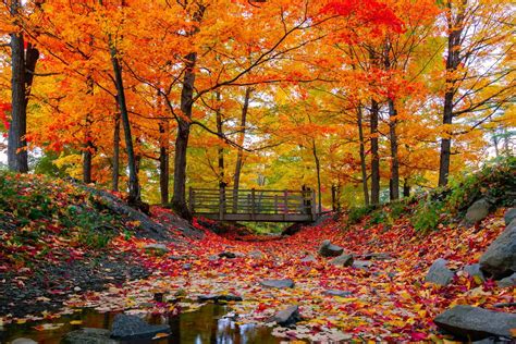 When Is The First Day Of Fall Fun Facts About The Fall Equinox Readers Digest