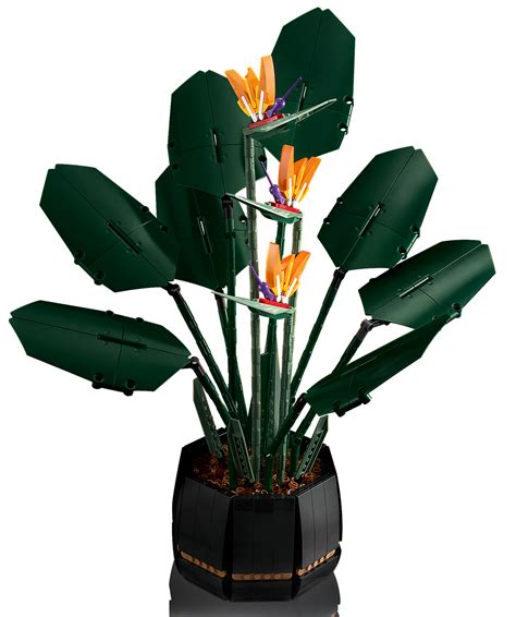 Buy LEGO Icons - Bird of Paradise at Mighty Ape NZ