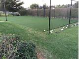 Backyard Turf Soccer Field Pictures