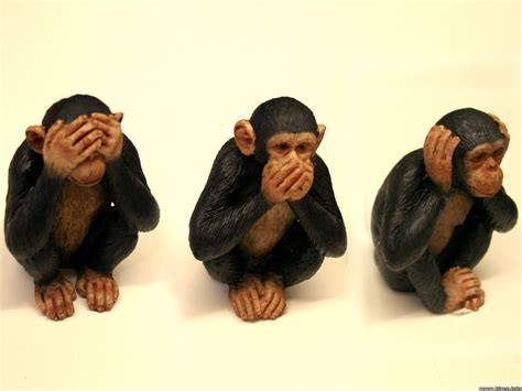 How To Live A More Fulfilling Life Three Wise Monkeys