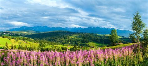 Summer Mountain Country Panorama Gliczarow Gorny Poland Stock Photo