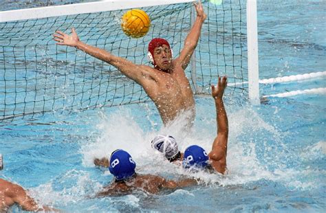 Search free nederlands elftal ringtones and wallpapers on zedge and personalize your phone to suit you. Nederlandse waterpoloploeg (mannen) - Wikipedia