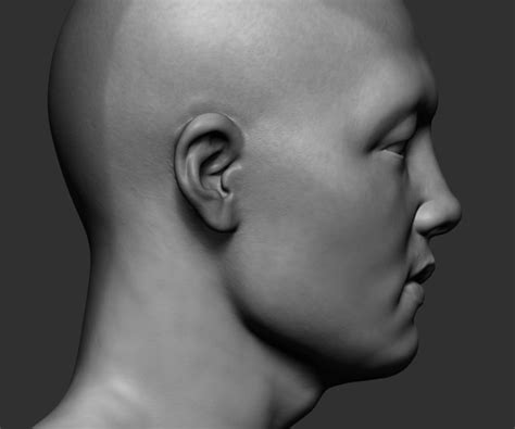Artstation Male Head Collection Game Assets