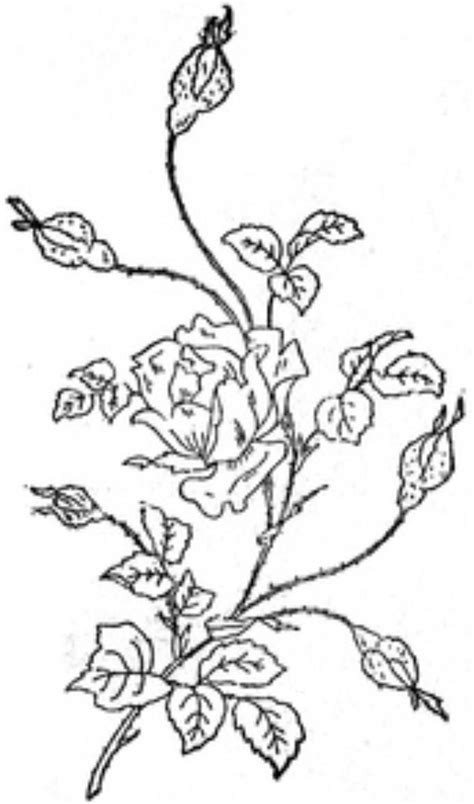 Ingalls Rose This Came From Embroiderists Photo Strea Flickr