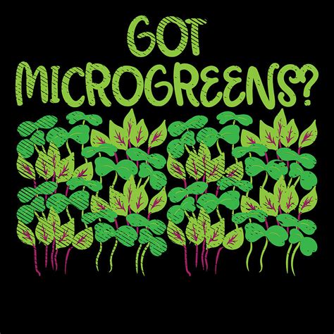 Microgreens Gardening Digital Art By Britta Zehm Fine Art America