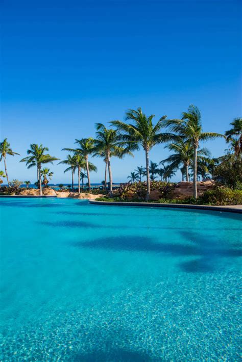 atlantis paradise island resort review and photo diary katie s bliss