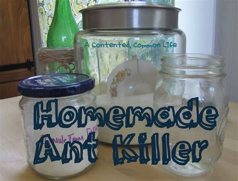It's so simple but so powerful. A Contented, Common Life: Homemade Recipe: Ant Killer