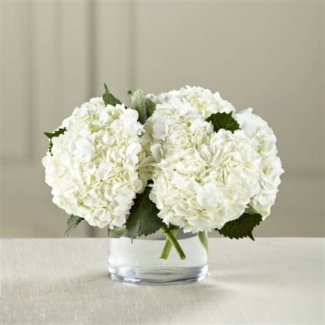 Fake white flowers artificial silk hydrangea flowers bouquets faux hydrangea stems 3pcs for home table centerpieces wedding party decoration prime members enjoy free delivery and exclusive access to music, movies, tv shows, original audio series, and kindle books. White Hydrangeas | Toronto Wedding Flowers | Ital Florist