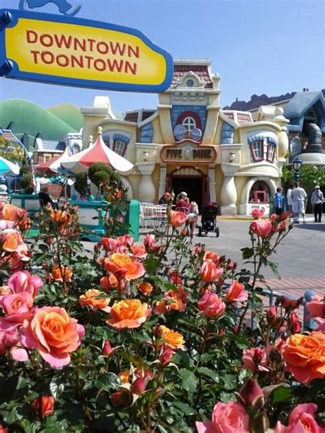 Live From Toontown Disney Roses Disneyland Disney All Disney Parks