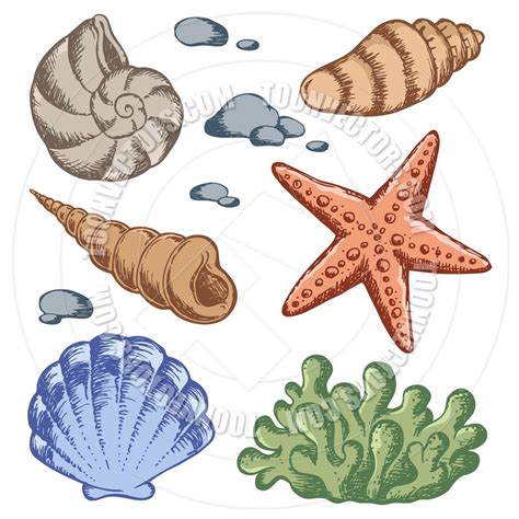 Cartoon Sea Shells Drawings By Clairev Toon Vectors Eps 38036 Free