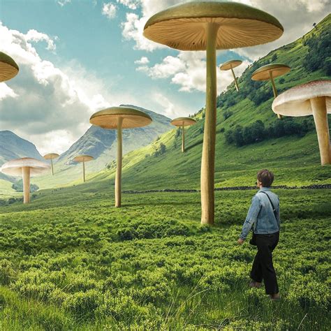 what if giant mushrooms grew on earth what would happen if giant mushrooms were all around us