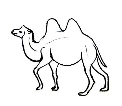 We did not find results for: Camel coloring pages for kids