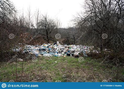 Garbage In The Forest. People Illegally Throwing Garbage Into The Forest. Illegal Garbage Dump 