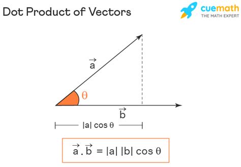 Examples Of Vectors