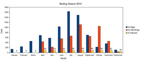 Hawksbill turtle hooked on a longline. 2014 Nesting Season Totals and Comparisons - Juara Turtle ...
