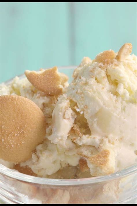 Why Have Banana Pudding When You Can Have Banana Pudding Ice Cream