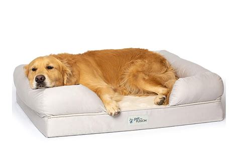 Beds └ dog supplies └ pet supplies all categories antiques art baby books & magazines business & industrial cameras & photo cell phones & accessories clothing, shoes & accessories coins & paper. 'The Rolls-Royce of dog beds': Pet owners on Amazon are ...