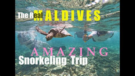Best Snorkeling In The World Maldives Incredible Underwater