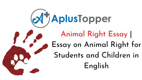 Animal Right Essay Essay On Animal Right For Students And Children In