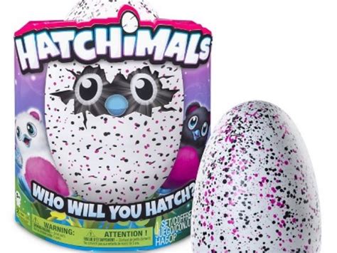 how to find a hatchimal this year s hottest toy