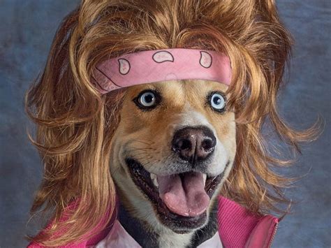 Funny Dogs Photoshopped With 80s Looks Insider