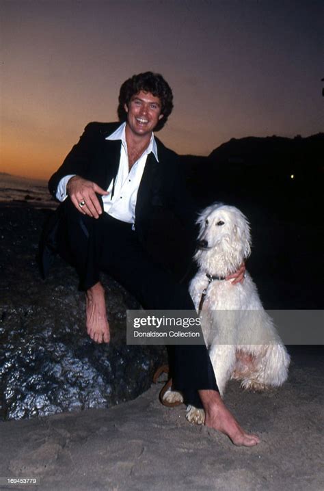 Actor David Hasselhoff Poses For A Portrait Session Wearing A Tuxedo
