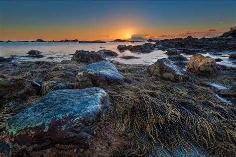 Australia Sunset Landscape Beach Sea Ocean Wallpapers Hd Desktop