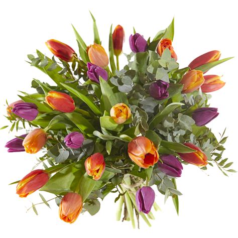 Gesorteerd Tulpen Boeket Louise Bloemsierkunst