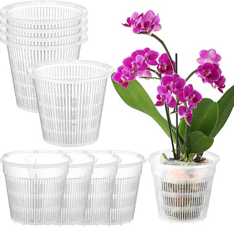 Bzdloli Pcs Clear Plastic Orchid Pots Orchid Breathable Slotted