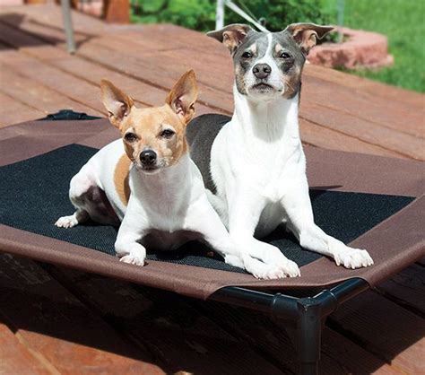 It allows you to use the same dog ball launcher with multiple pets and change the throwing distance if you want to prevent your pooch from getting bored with repetitive play. indestructible dog beds | Elevated dog bed, Indestructable dog bed, Dog cots