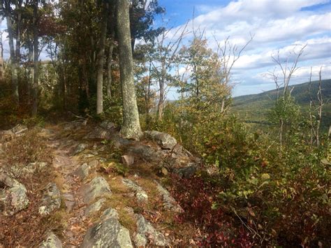 The trail is rated as moderate and primarily used for. Tussey mountain trail | Mountain trails, Tree, Plants