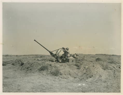40 Mm Bofors Anti Aircraft Gun On Anzio Beachead On 10 April 1944 The