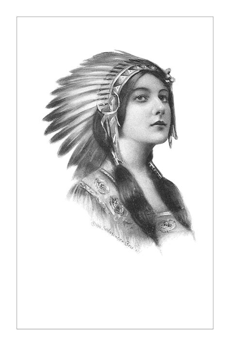 Native American postcard | Native american headdress, Native american, Native american fashion