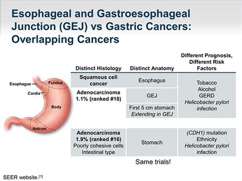 Treatment Of Advanced Gastric Cancer In 2014 Expanding Horizons
