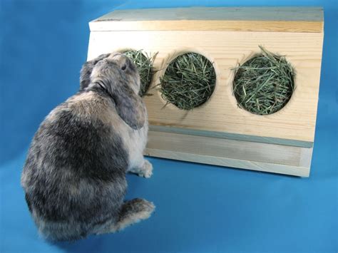 Hay Racks For Rabbits At Home Pets