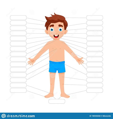 My Body Poster Cute Kid Boy Shows His Body Parts Medical Anatomy Chart
