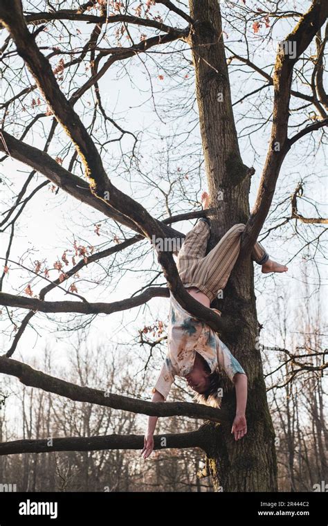 Androgynous Dancer Hangs Upside Down From Tree Branches Stock Photo Alamy