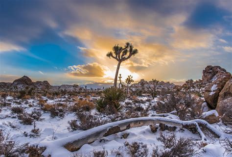 Americas Great Outdoors A Gorgeous Winter Scene At Joshua Tree