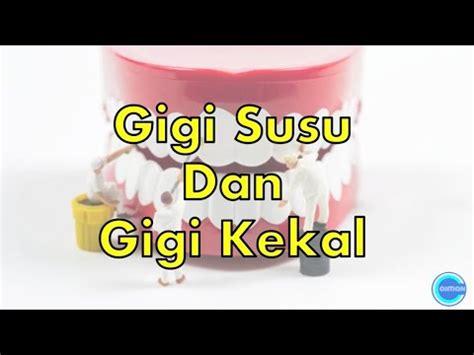 Kegıgıan manusıa saıns tahun 3. Sains Tahun 3 | Manusia | Gigi Susu Dan Gigi Kekal - YouTube